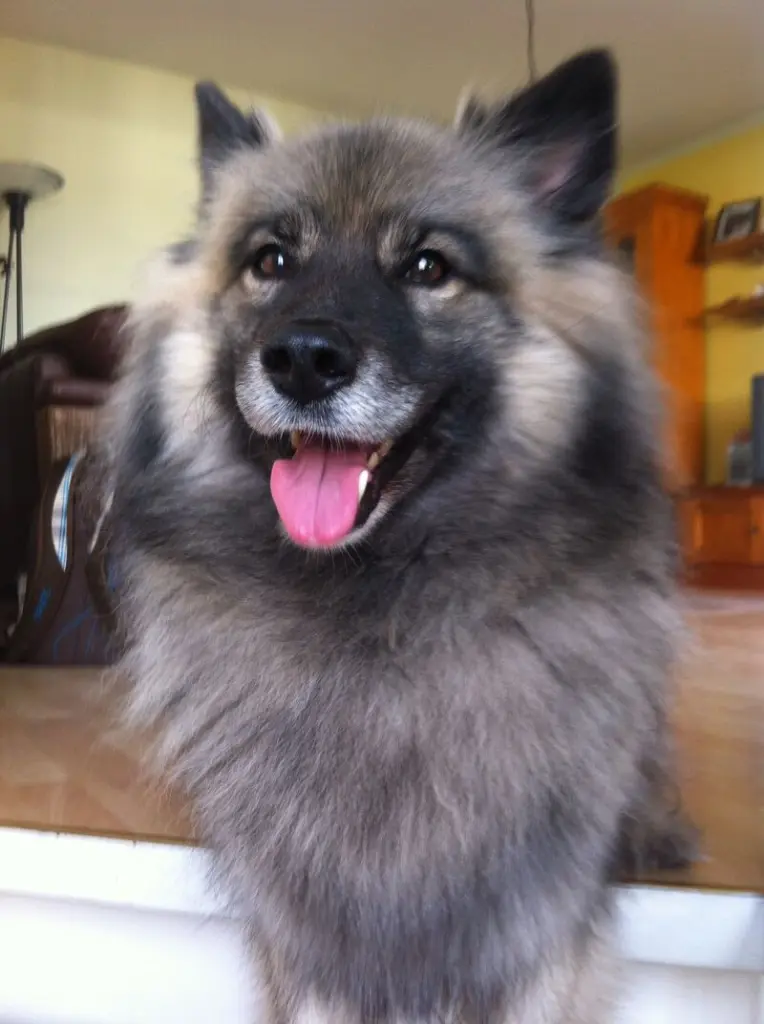 Image from Cleo