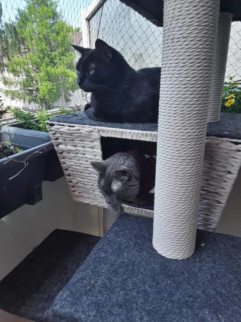 Andachtsbild von Sandra mit Cera im Herzen und Blacky an meiner Seite
