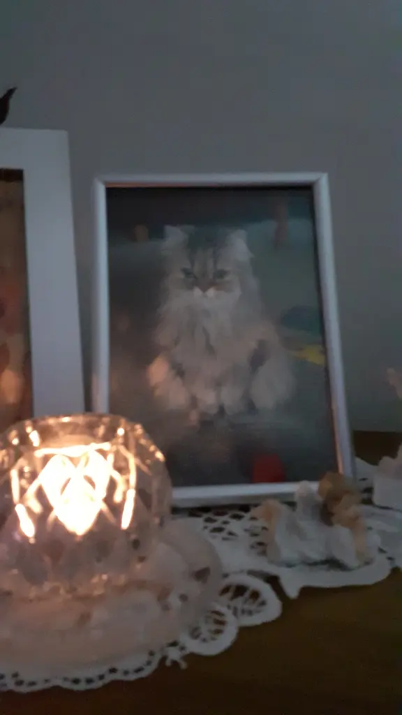 Condolence image of Heidrun