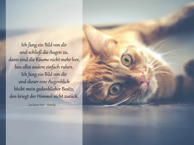 Andachtsbild von Andrea mit Minki im ♥️ gest. 19.10.2020