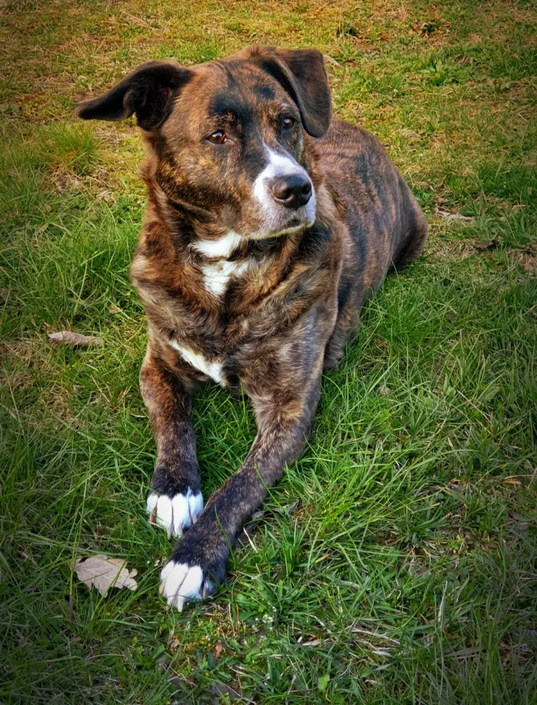 Andachtsbild von Katja