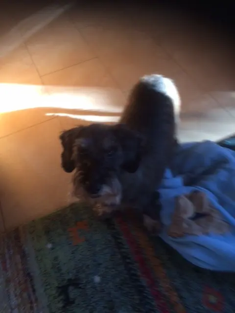Image from Paul