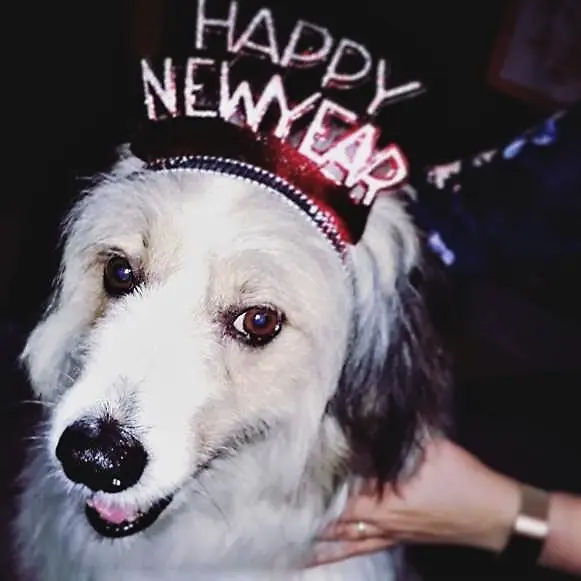 Image from Brenda - liebevoll "Pupsi" genannt