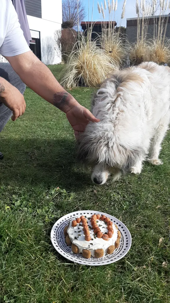 Image from Brenda - liebevoll "Pupsi" genannt