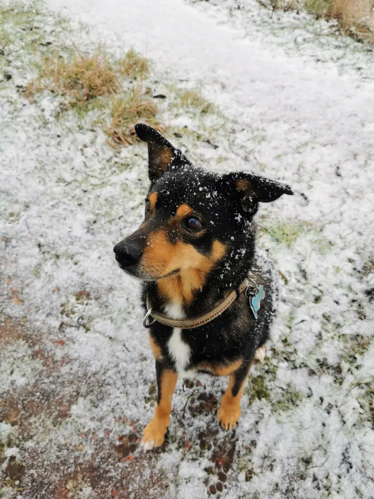 Image from Murphy
