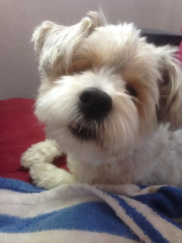 Condolence image of Blinkie und dieter jullien