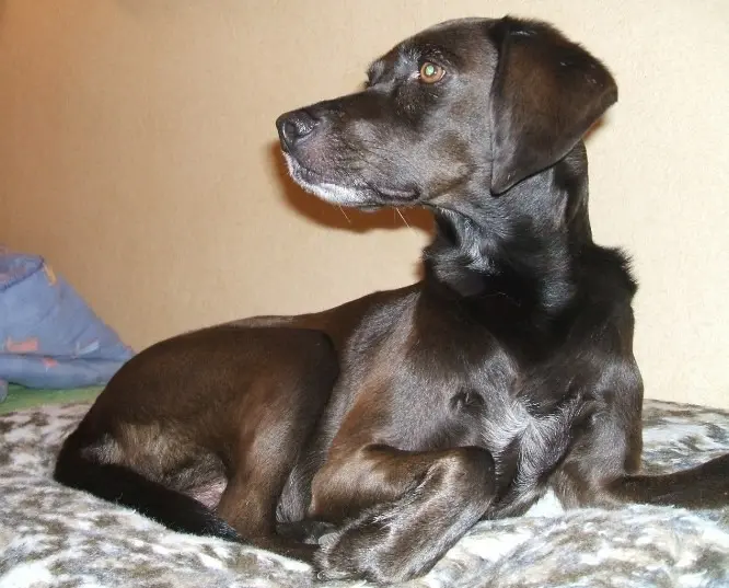Condolence image of Erika