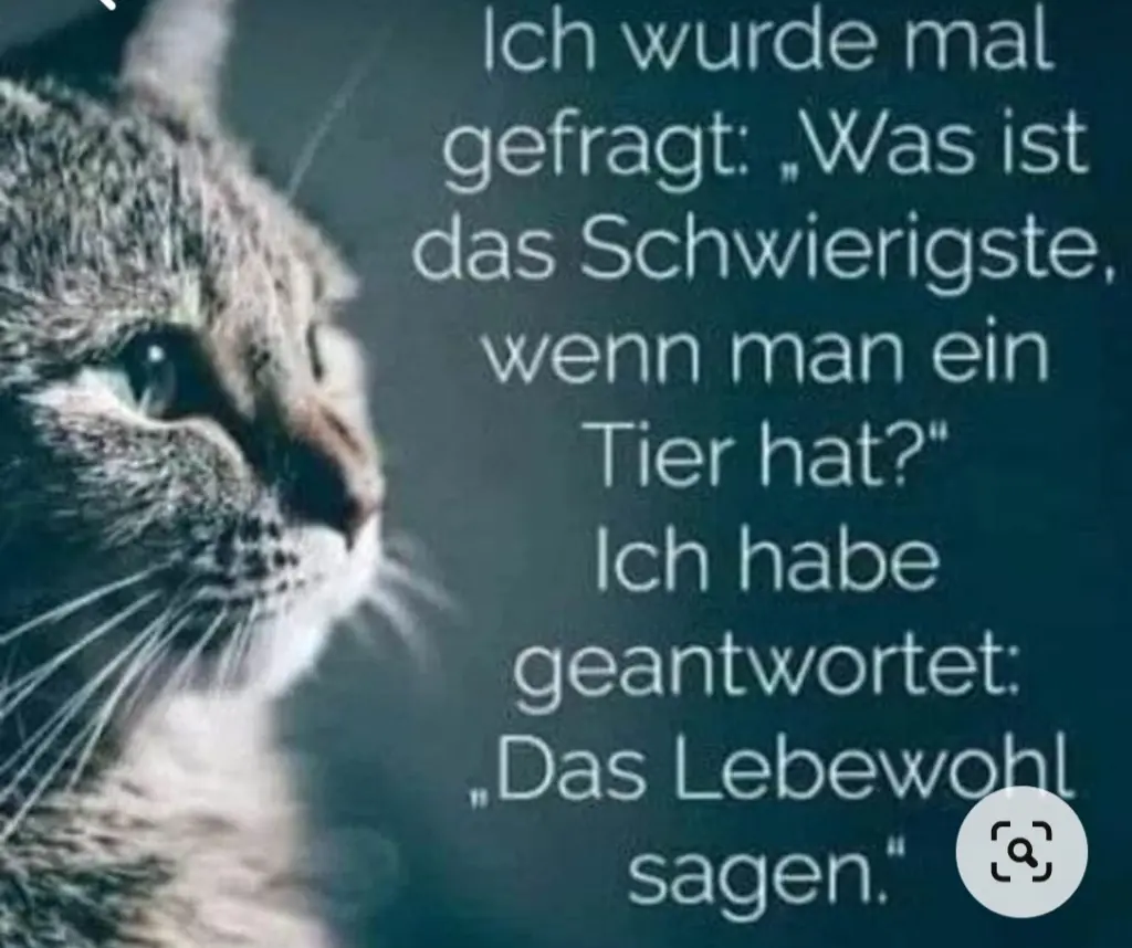 Condolence image of Deinem Frauchen