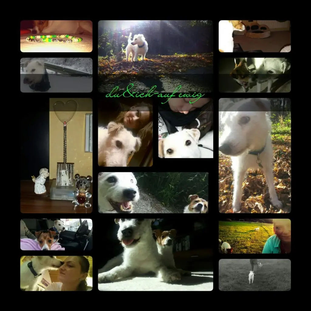 Condolence image of Josi