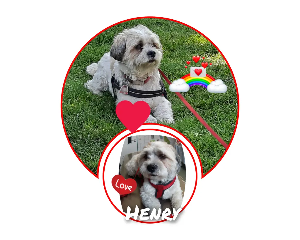 Image from Henry