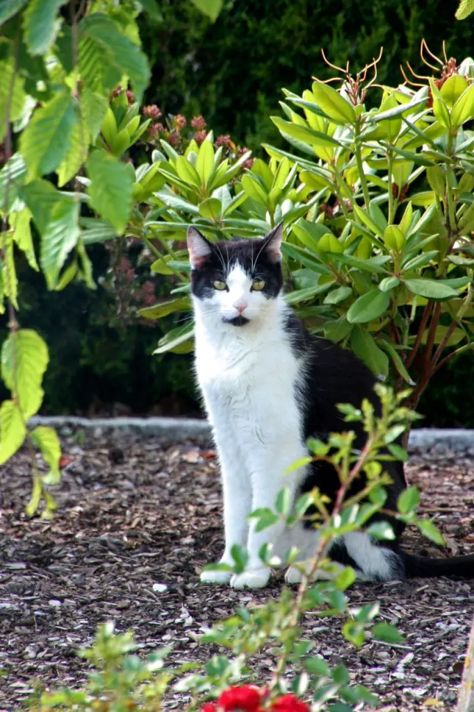 Andachtsbild von Karin mit Moritz im Herzen