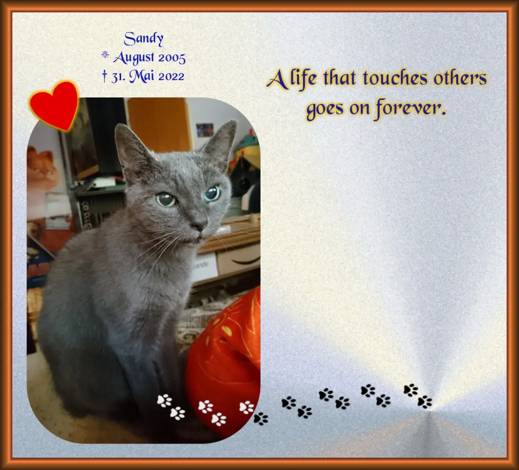 Image from Sandy