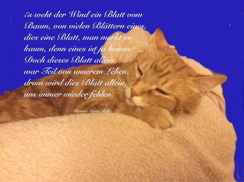 Image from Fritzi