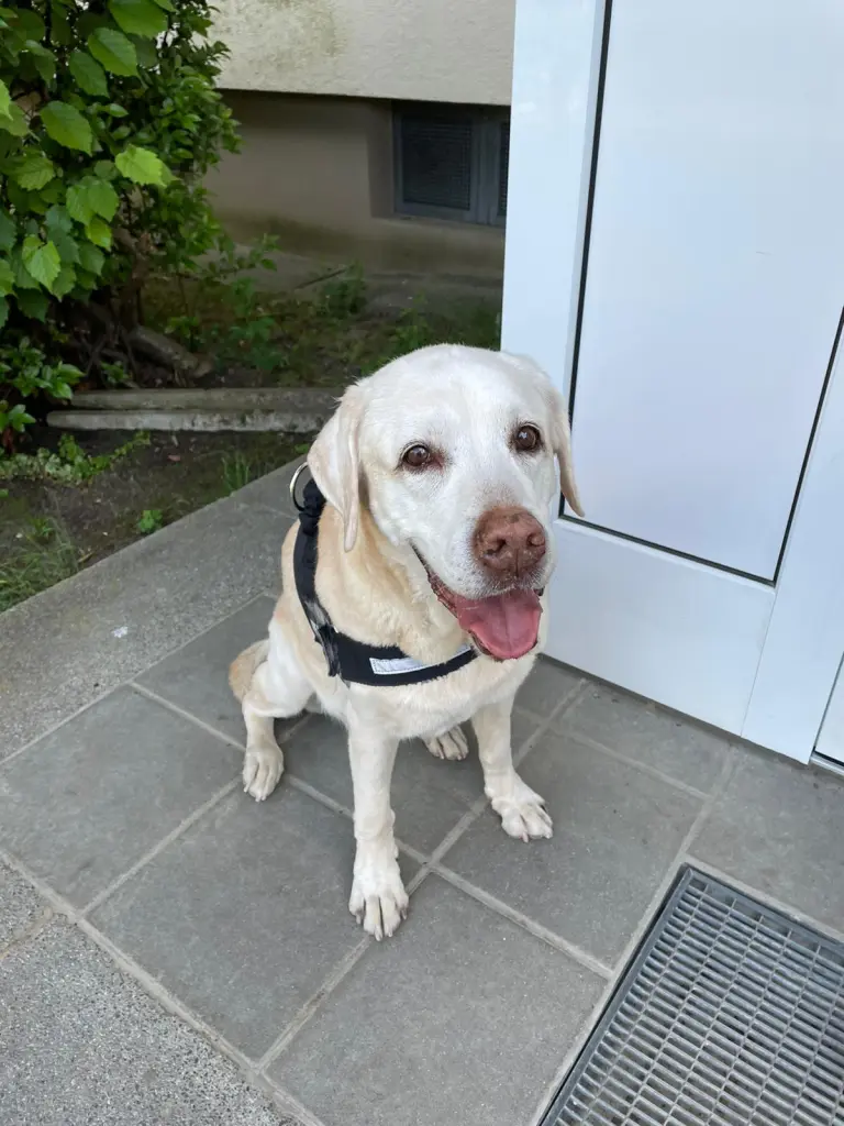 Andachtsbild von Uta