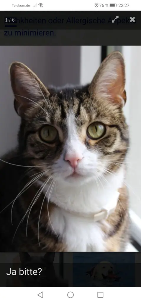 Condolence image of Cindy