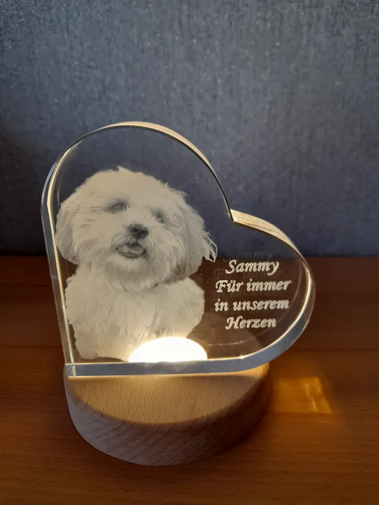 Image from Sammy