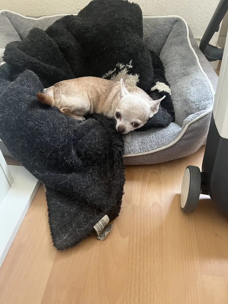 Image from Mini