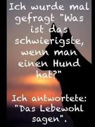 Condolence image of Annemarie und Elke mit Snoopy im Herzen gest.04.01.2022