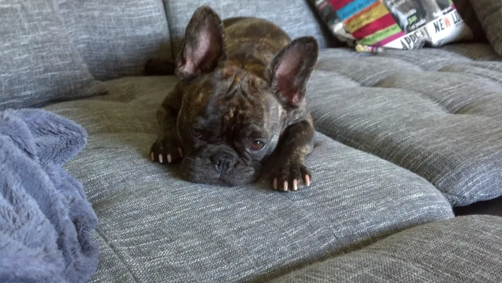 Andachtsbild von 2 Jahre fehlst du schon Mäuschen