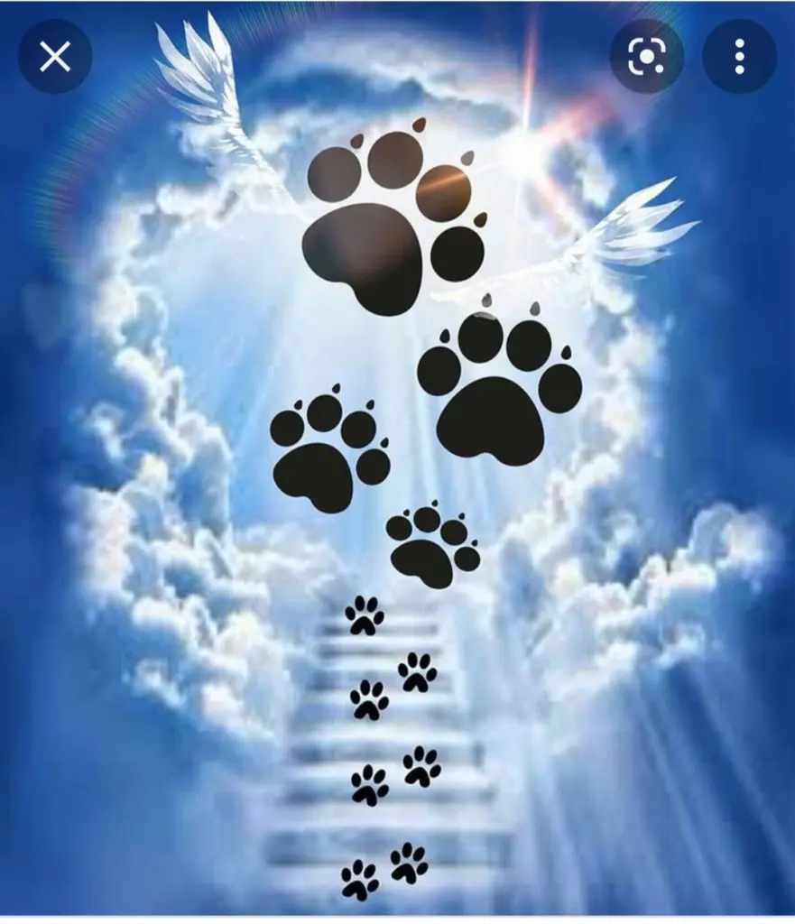 Condolence image of Sabine
