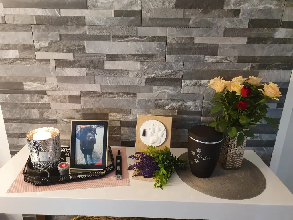 Image from Asko