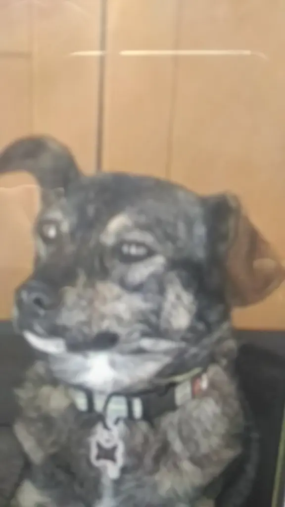 Andachtsbild von Paul Ruprecht