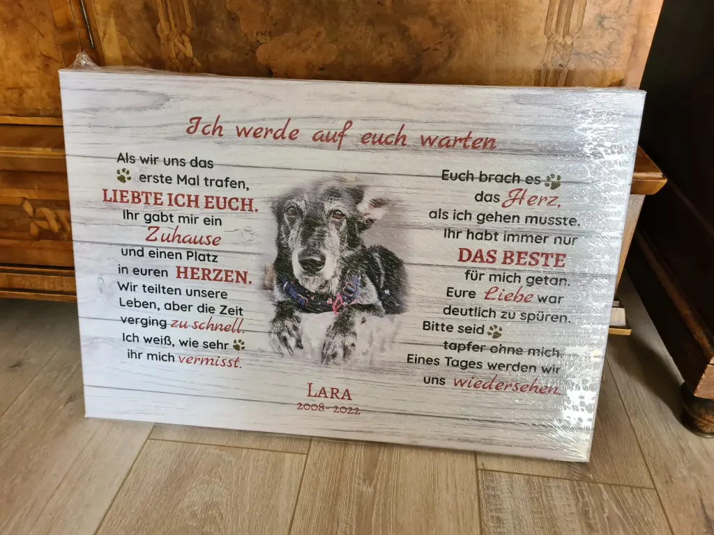 Image from Lara