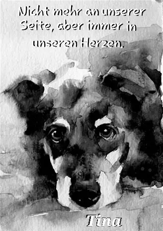 Condolence image of Maggy Bongartz
