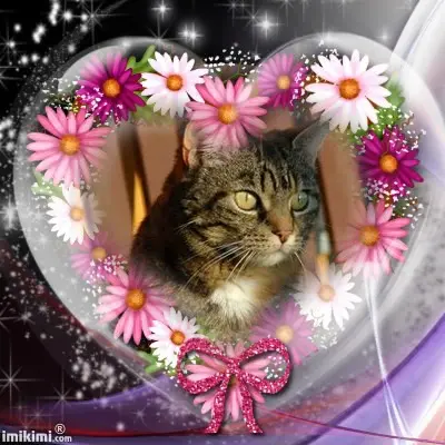 Condolence image of Fur Nellylein❤️⭐️