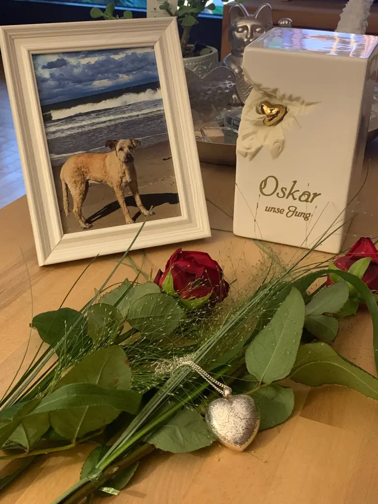 Image from Oskar