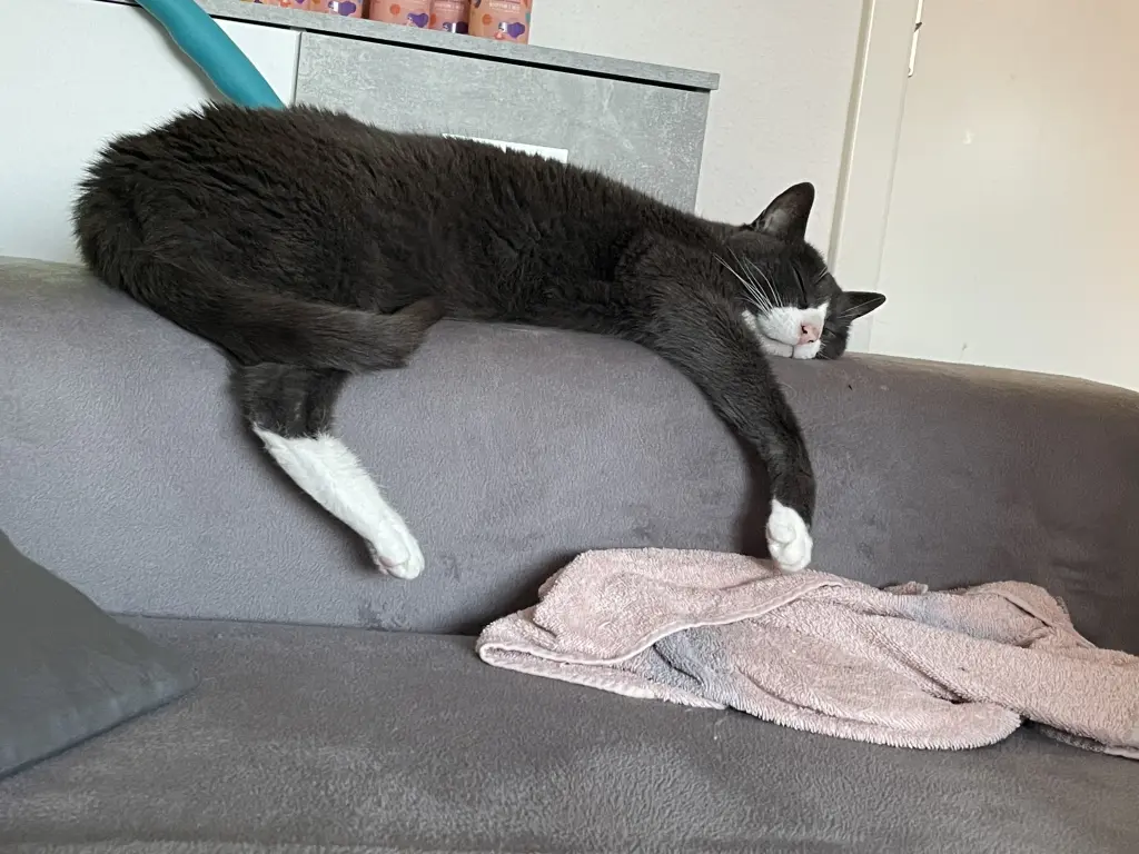 Image from Smoky