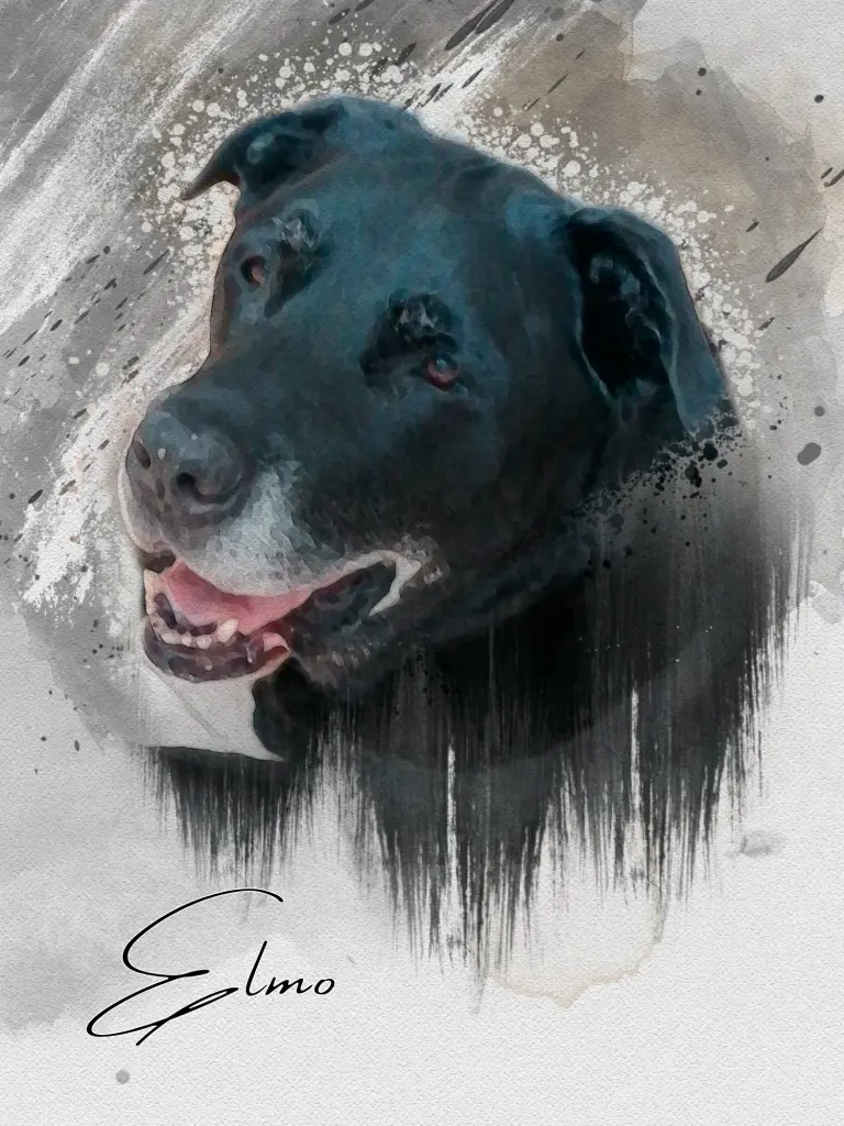 Image from Elmo