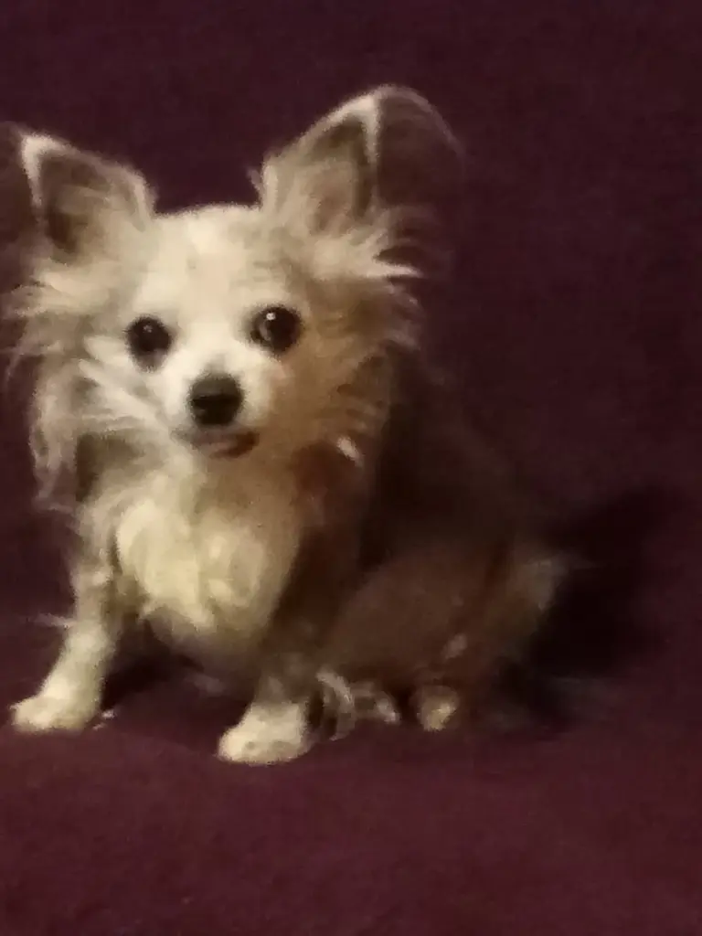 Condolence image of Klaus