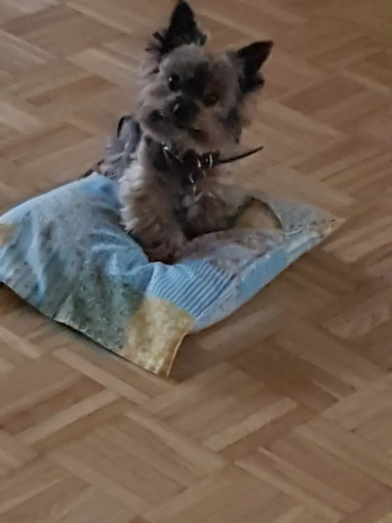Image from Mini
