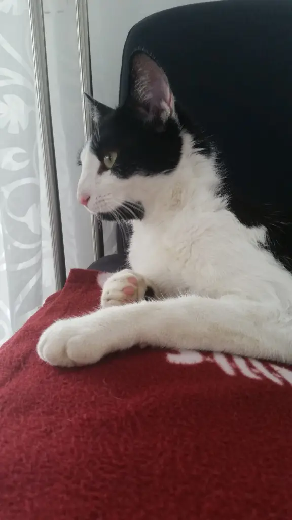 Andachtsbild von Karin mit Moritz im Herzen