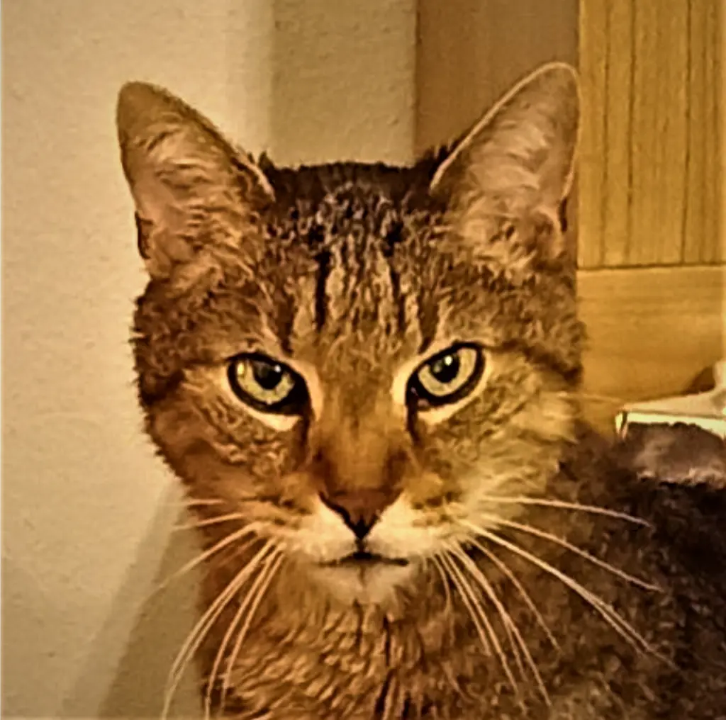 Image from Jimmy