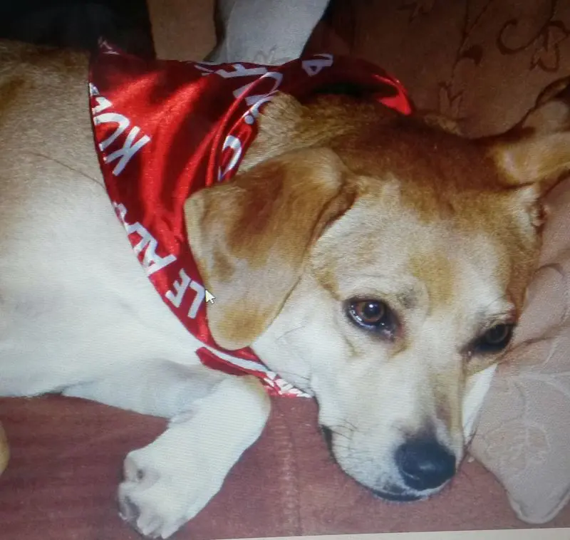 Condolence image of Deine Mama