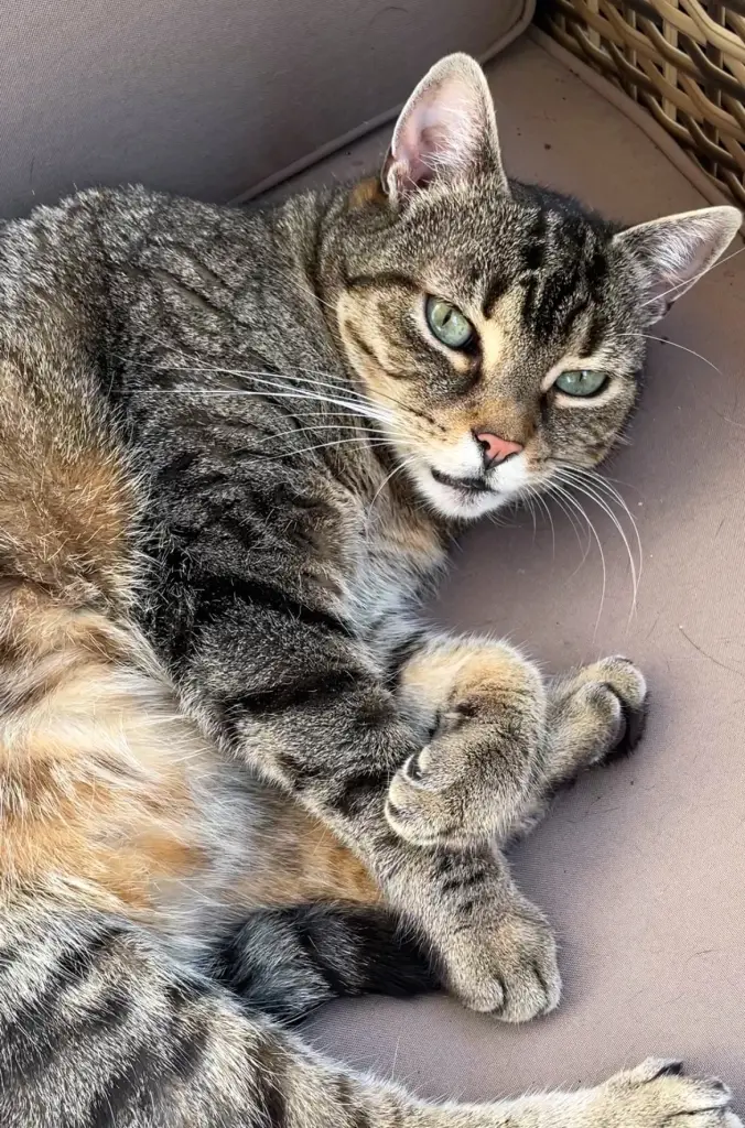 Condolence image of Janet 