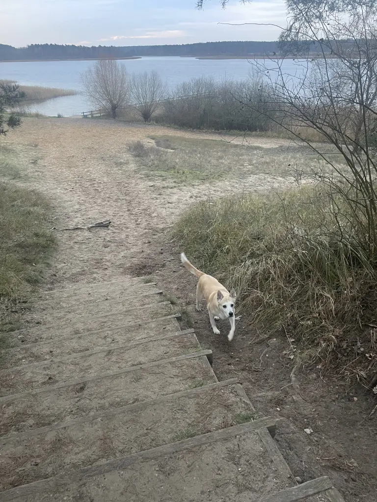 Image from Luna