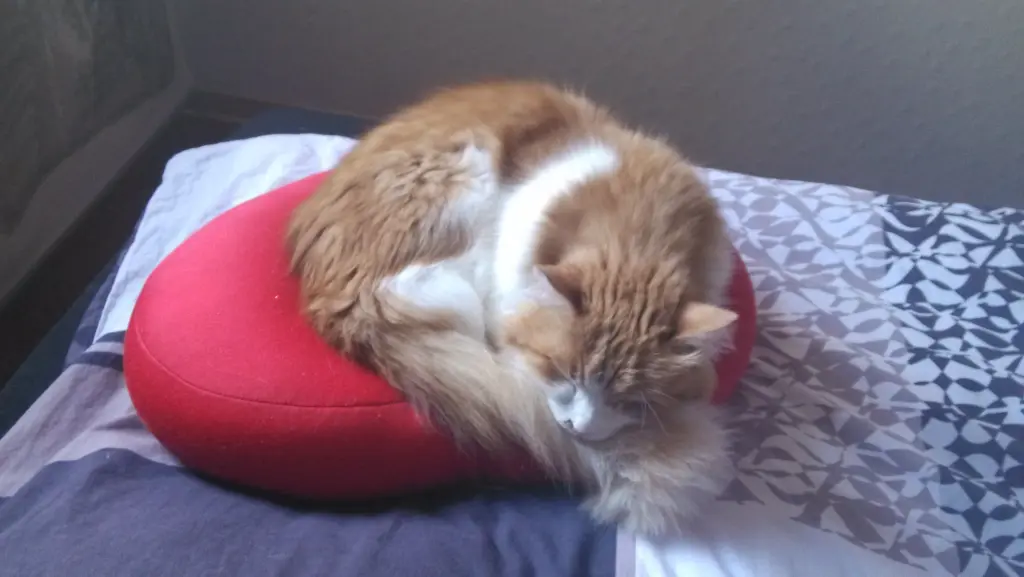 Andachtsbild von Christiane