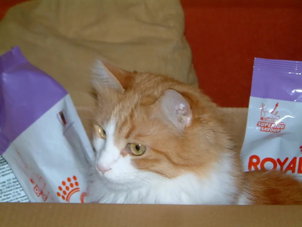 Andachtsbild von Deine Dosi