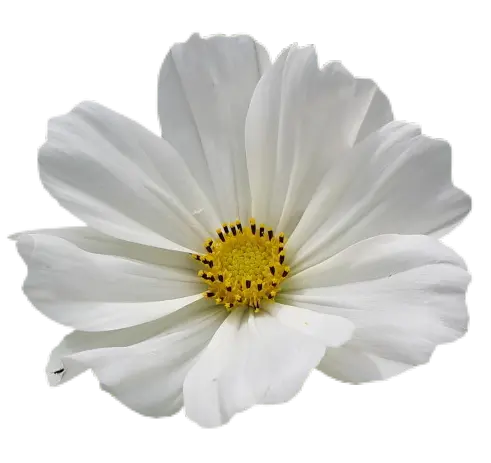 Andachtsbild von Heidrun