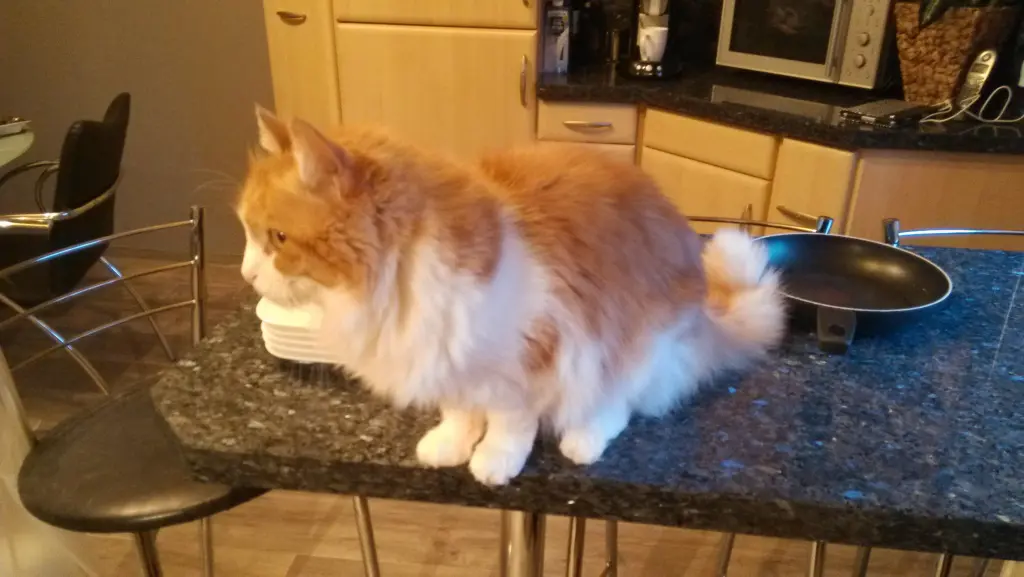 Andachtsbild von Deine Dosi