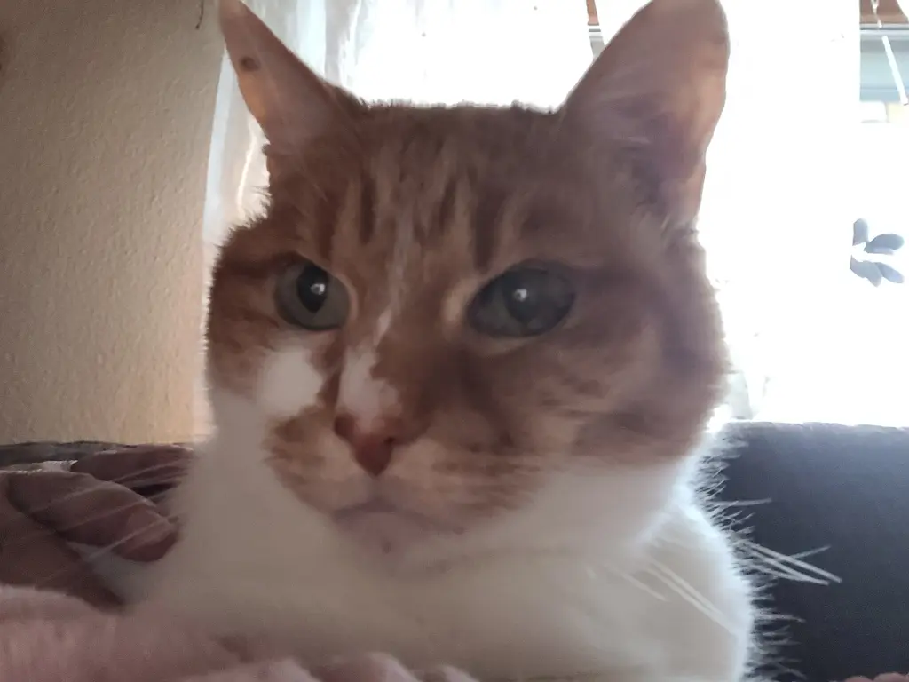 Condolence image of Nicole