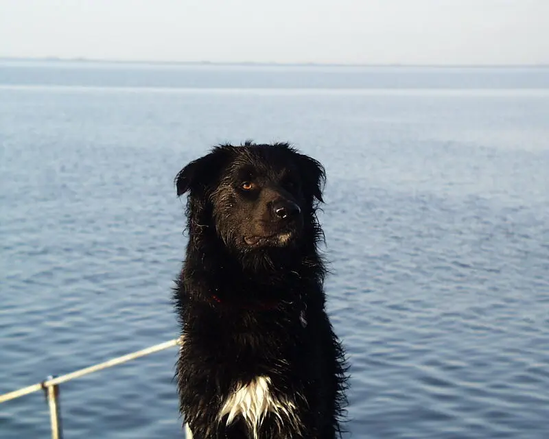 Image from Fynn