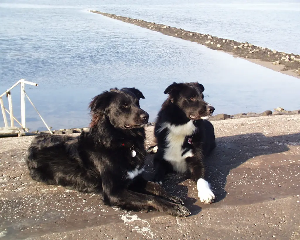 Image from Fynn