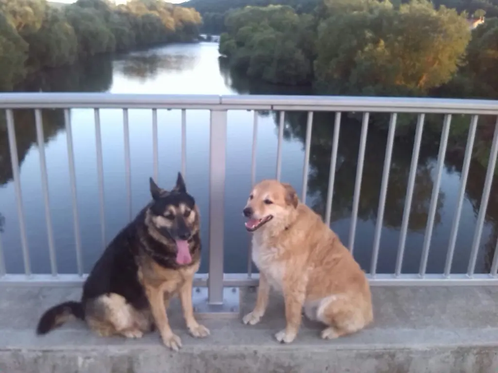 Condolence image of Lali, Karlchen und Caro Pfitzmann