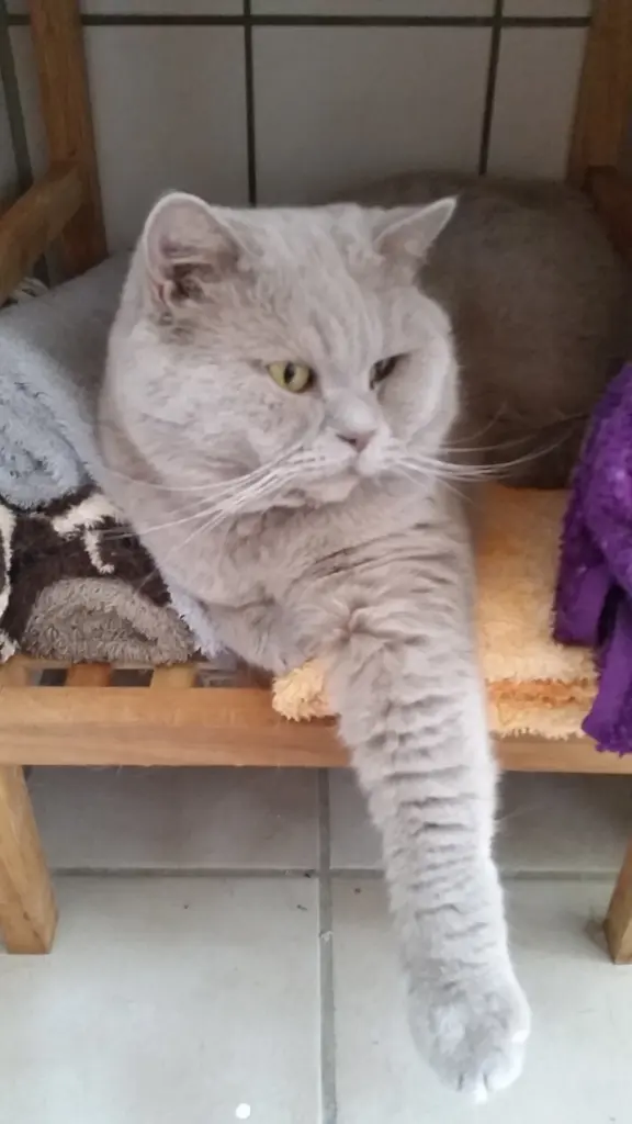 Image from Mikosch