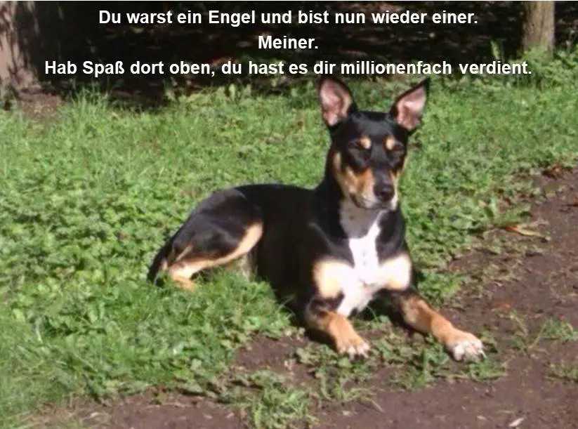 Condolence image of Rüdiger