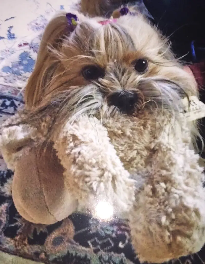 Condolence image of Ulrike